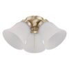 Ceiling Fan Light Kit